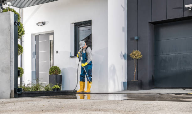 Best Driveway Cleaning and Restoration in Harrington, DE